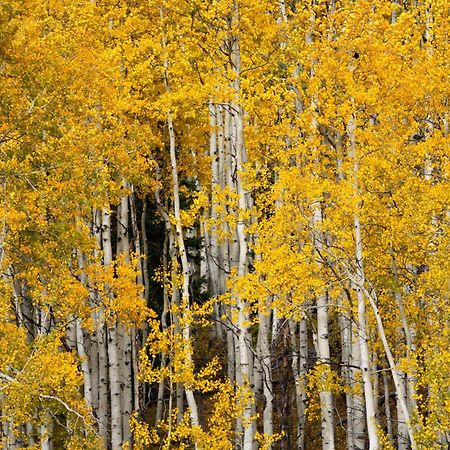Апарт отель Aspen Springs Анджел Файер Экстерьер фото